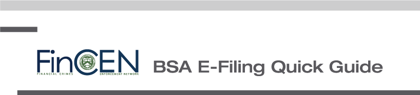 FinCEN BSA E-Filing Instructions